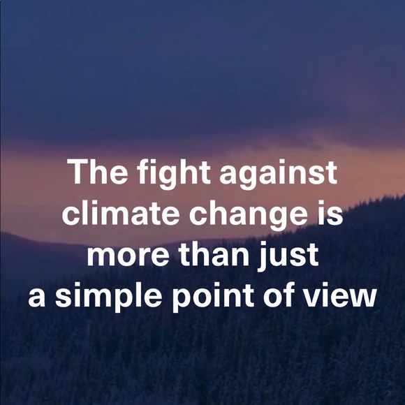 PICTURE Ski/Snowboard Winter Jacket - Picture 11 of 12